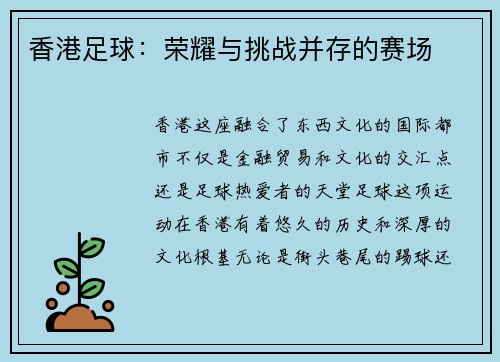 香港足球：荣耀与挑战并存的赛场